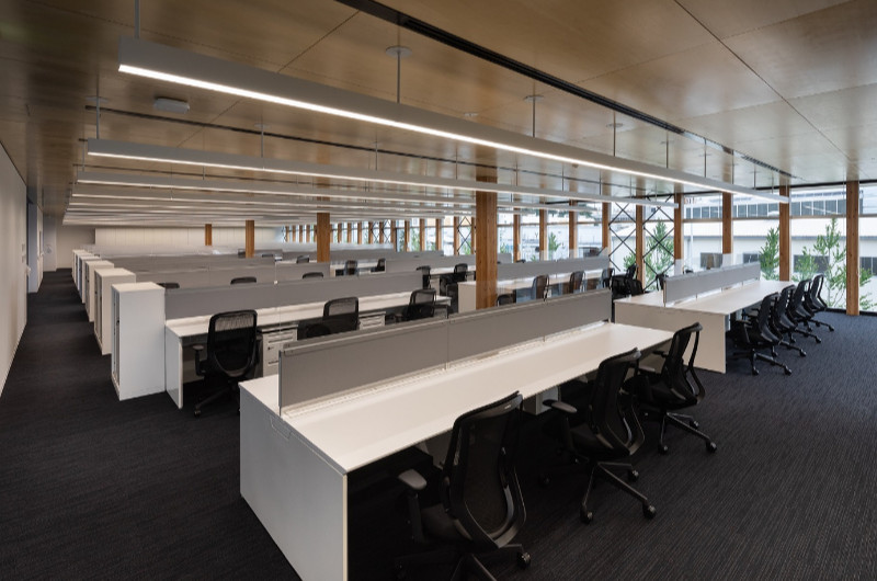 事務所スペース。木柱の現しと天井の木質化により、木に包まれた空間での、業務効率化が期待される。