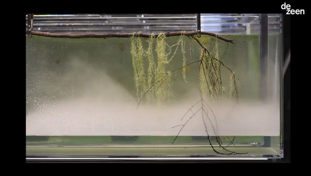 人工的に水分を噴霧して、植物を育てる。「Extinct in New York」展の一部。
