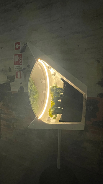 『Space Garden』Aurelia Institute, Heatherwick studio, Brent Sherwood　気候制御された栽培室。 