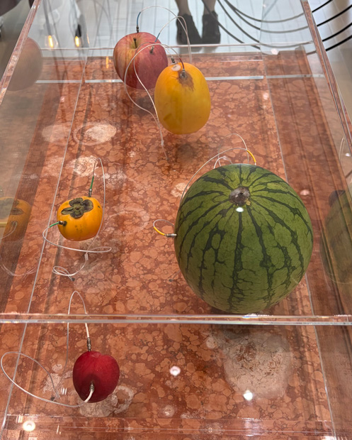 「毛利悠子 Recompose」展示風景　果物は会期の中で変質していき、それにともない、空間に響く音や点滅する光も変化していく。
