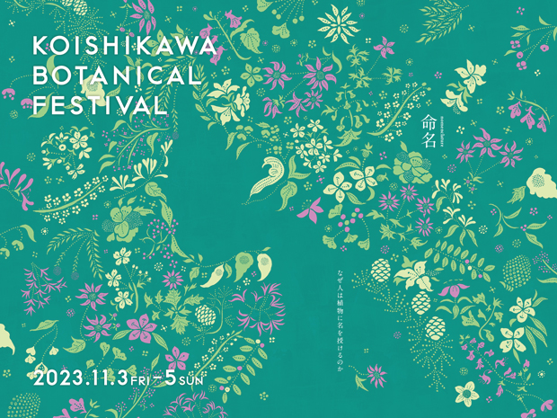 小石川植物祭 2023 メインビジュアル：高田康代／めぐるデザイン